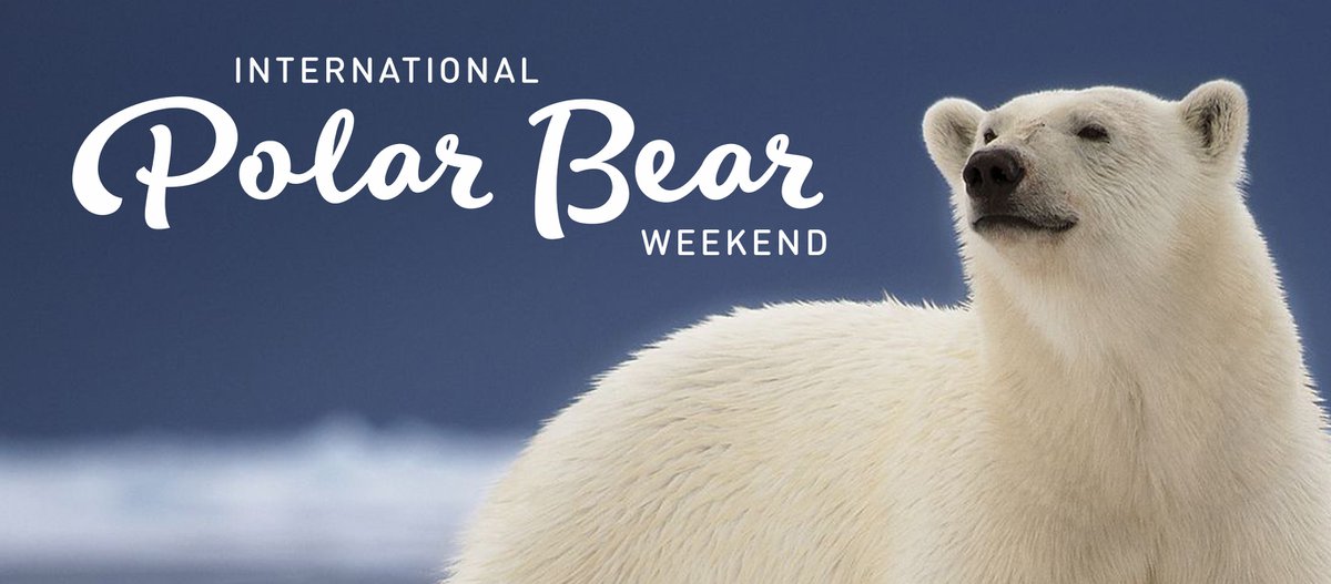 International Polar Bear Weekend KC Parent Magazine